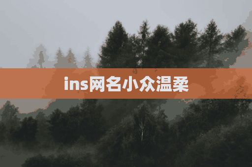 ins网名小众温柔(ins网名小众温柔英文)